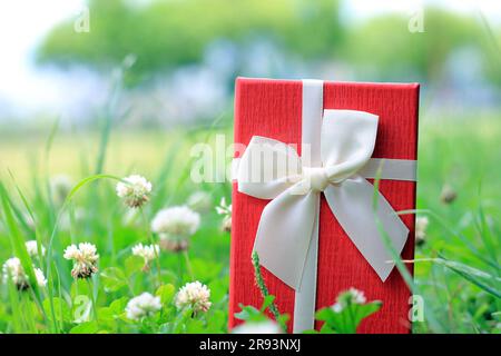 Vari scatti di confezioni regalo con luce solare sul prato del parco in una giornata di sole estiva Foto Stock