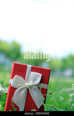 Vari scatti di confezioni regalo con luce solare sul prato del parco in una giornata di sole estiva Foto Stock