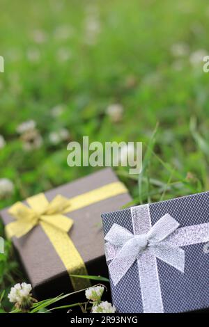 Vari scatti di confezioni regalo con luce solare sul prato del parco in una giornata di sole estiva Foto Stock