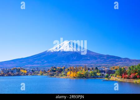 Colore autunnale di Kawaguchiko e Oike Park Foto Stock