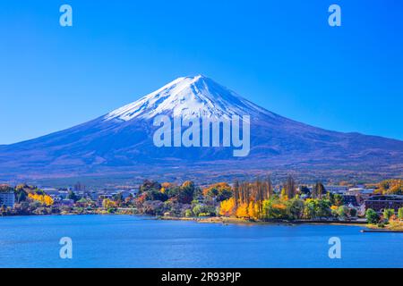 Colore autunnale di Kawaguchiko e Oike Park Foto Stock