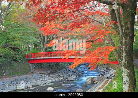 Shuzenji Onsen in foglie autunnali Foto Stock