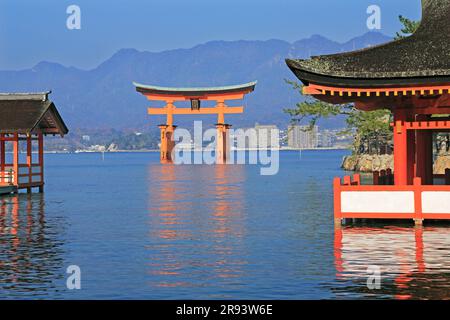 Torii e Itsukushima Santuario a Miyajima Foto Stock