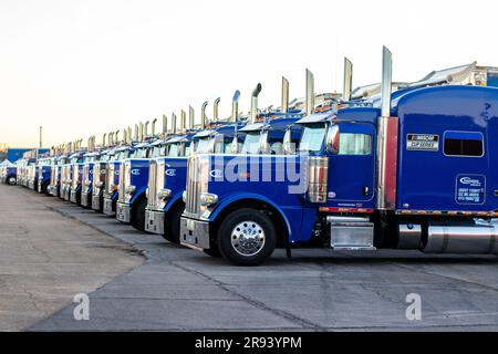 Una linea di semirimorchi per il trasporto Nascar tutti allineati di fila Foto Stock