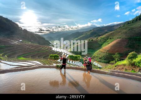 Una giovane famiglia di H'Mong che trasportava piantine di riso si prepara a piantare riso a Mu Cang Chai, provincia di Yen Bai, Vietnam Foto Stock