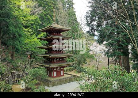 Pagoda a cinque piani del tempio Muroji Foto Stock