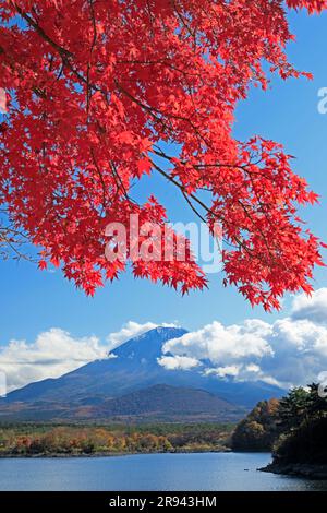 Foglie autunnali al lago Shojin e al monte Foto Stock