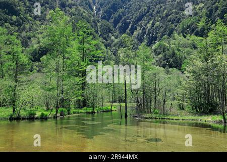 Tashiro Pond a Kamikochi Foto Stock