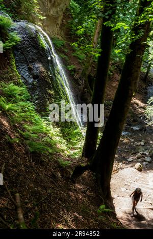 Rossignolet cascata in prossimità di Le Mont Dore, Auvergne Parco Nazionale Vulcani, Puy de dome, Auvergne Rhone Alpes, Francia Foto Stock