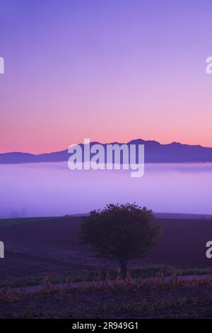 MT. Daisetsu e mare di nuvole al mattino Foto Stock