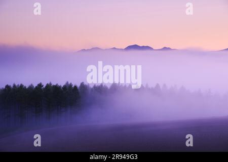 MT. Daisetsu e mare di nuvole al mattino Foto Stock