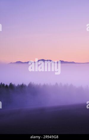 MT. Daisetsu e mare di nuvole al mattino Foto Stock