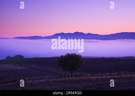 MT. Daisetsu e mare di nuvole al mattino Foto Stock