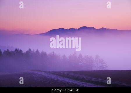 MT. Daisetsu e mare di nuvole al mattino Foto Stock