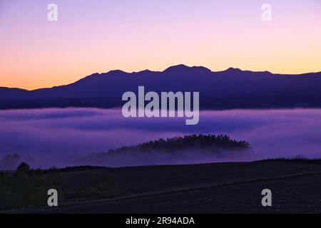 MT. Daisetsu e mare di nuvole al mattino Foto Stock