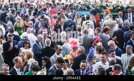 Ascot, Berkshire, Regno Unito. 23 giugno 2023. Gli automobilisti partecipano al quarto giorno della Royal Ascot. Le aree di osservazione presso l'ippodromo sono molto ben frequentate. Crediti: Imageplotter/Alamy Live News Foto Stock