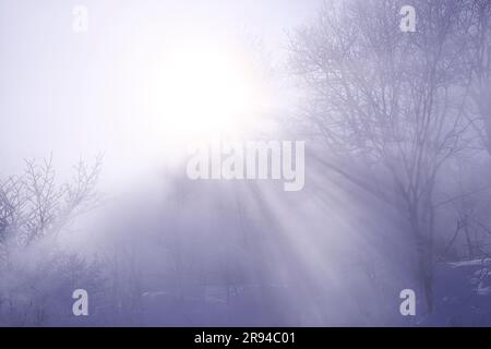 Nebbia e luce obliqua del lago Akan Foto Stock