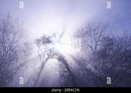 Nebbia e luce obliqua del lago Akan Foto Stock