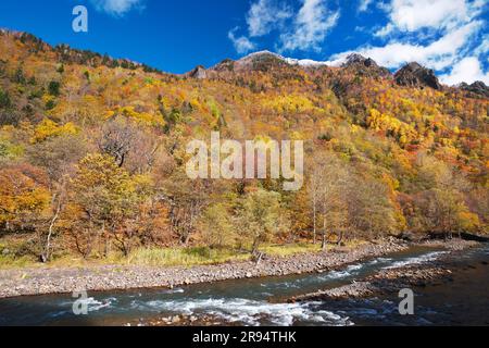 Foglie autunnali a Sounkyo e Ishikari gawa Foto Stock