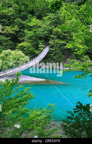 Ponte sospeso dei sogni a Sunmatakai Foto Stock