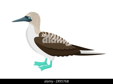 Uccello fiancheggiato dai piedi blu isolato su uno sfondo bianco. Illustrazione vettoriale in stile piatto Illustrazione Vettoriale