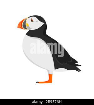 Pulcino Atlantico di profilo isolato su sfondo bianco. Illustrazione del vettore piatto Illustrazione Vettoriale