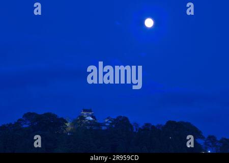 Il castello di Echizen-Ono e la Luna Foto Stock