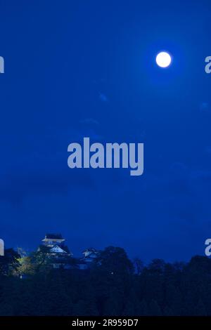 Il castello di Echizen-Ono e la Luna Foto Stock