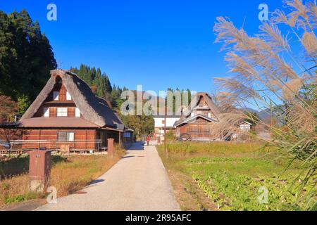 Aikura Gassho-zukuri Village in autunno Foto Stock