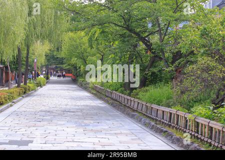 Gion in verde fresco Foto Stock