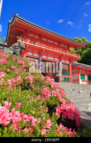 Santuario Yasaka in verde fresco Foto Stock