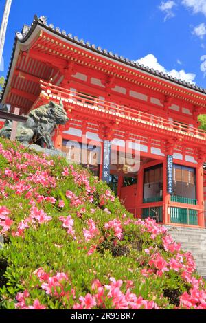 Santuario Yasaka in verde fresco Foto Stock