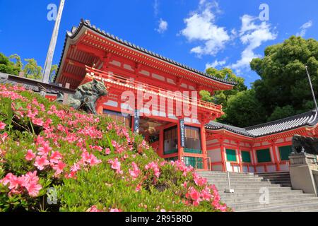 Santuario Yasaka in verde fresco Foto Stock