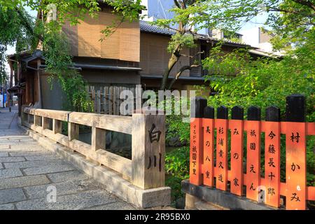 Gion in verde fresco Foto Stock