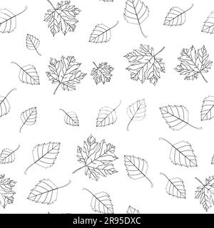 Motivo autunnale di foglie di acero e betulla autunnali su sfondo trasparente. Stile line art, doodle. per avvolgere, poster, biglietti, copertine Illustrazione Vettoriale