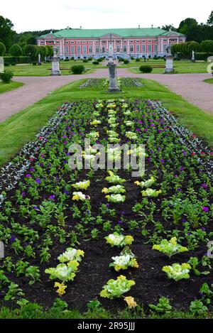 Mosca, Russia - 6 giugno 2016. Palazzo del Conte Sheremetev nella tenuta di Kuskovo Foto Stock