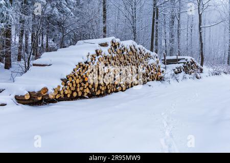 Molti alberi tagliati si trovano accanto a sentieri di montagna in montagne coperte di neve in inverno Foto Stock