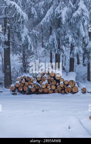 Molti alberi tagliati si trovano accanto a sentieri di montagna in montagne coperte di neve in inverno Foto Stock