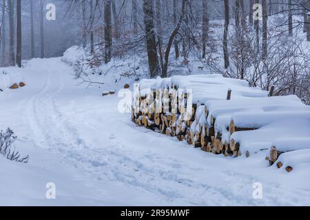 Molti alberi tagliati si trovano accanto a sentieri di montagna in montagne coperte di neve in inverno Foto Stock