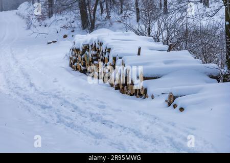 Molti alberi tagliati si trovano accanto a sentieri di montagna in montagne coperte di neve in inverno Foto Stock