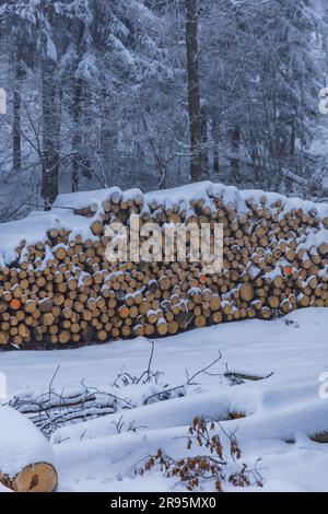 Molti alberi tagliati si trovano accanto a sentieri di montagna in montagne coperte di neve in inverno Foto Stock