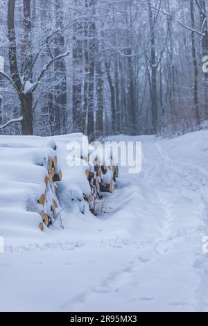 Molti alberi tagliati si trovano accanto a sentieri di montagna in montagne coperte di neve in inverno Foto Stock