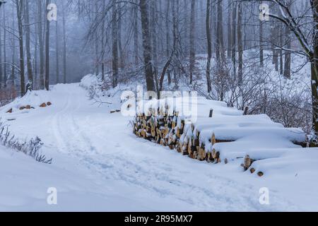 Molti alberi tagliati si trovano accanto a sentieri di montagna in montagne coperte di neve in inverno Foto Stock