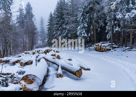 Molti alberi tagliati si trovano accanto a sentieri di montagna in montagne coperte di neve in inverno Foto Stock