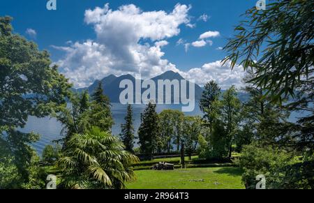 Vista dall'Orto Botanico di Villa Taranto al Lago maggiore. Verbania, Piemonte, Italia. Foto Stock