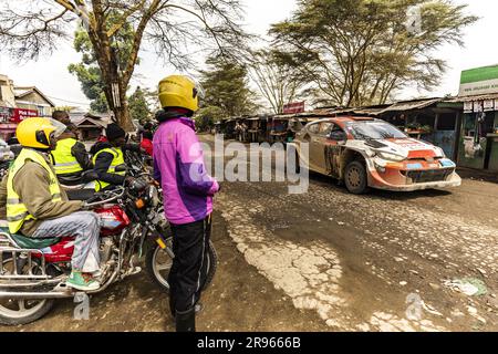 69 Kalle ROVANPERA (fin), Jonne HALTTUNEN (fin), TOYOTA GAZOO RACING WRT, TOYOTA Yaris Rally1 Hybrid, WRC, azione durante il Safari Rally Kenya 2023, 7th° round del WRC World Rally Car Championship 2023, dal 22 al 25 giugno 2023 a Naivasha, Nakuru County, Kenya Foto Stock