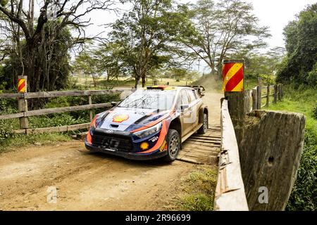 11 Thierry NEUVILLE (bel), Martijn WYDAEGHE (bel), HYUNDAI SHELL MOBIS WORLD RALLY TEAM, HYUNDAI I20 N Rally1 Hybrid, WRC, azione durante il Safari Rally Kenya 2023, 7th° round del WRC World Rally Car Championship 2023, dal 22 al 25 giugno 2023 a Naivasha, Nakuru County, Kenya Foto Stock