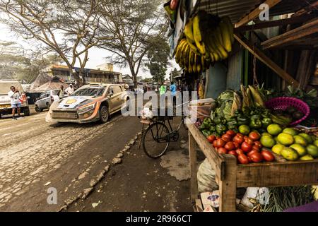 04 Esapekka LAPPI (fin), Janne FERM (fin), HYUNDAI SHELL MOBIS WORLD RALLY TEAM, HYUNDAI i20 N Rally1 Hybrid, WRC, azione durante il Safari Rally Kenya 2023, 7th° round del WRC World Rally Car Championship 2023, dal 22 al 25 giugno 2023 a Naivasha, Nakuru County, Kenya Foto Stock