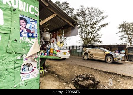 08 Ott TANAK (EST), Martin JARVEOJA (EST), M-SPORT FORD WORLD RALLY TEAM, FORD Puma Rally1 Hybrid, WRC, azione durante il Safari Rally Kenya 2023, 7th° round del WRC World Rally Car Championship 2023, dal 22 al 25 giugno 2023 a Naivasha, Nakuru County, Kenya Foto Stock