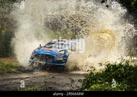 08 Ott TANAK (EST), Martin JARVEOJA (EST), M-SPORT FORD WORLD RALLY TEAM, FORD Puma Rally1 Hybrid, WRC, azione durante il Safari Rally Kenya 2023, 7th° round del WRC World Rally Car Championship 2023, dal 22 al 25 giugno 2023 a Naivasha, Nakuru County, Kenya Foto Stock